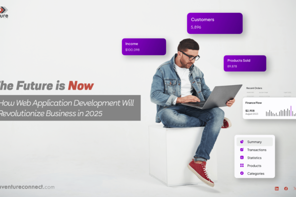 The Future is Now: How Web Application Development will Revolutionize Business in 2025 