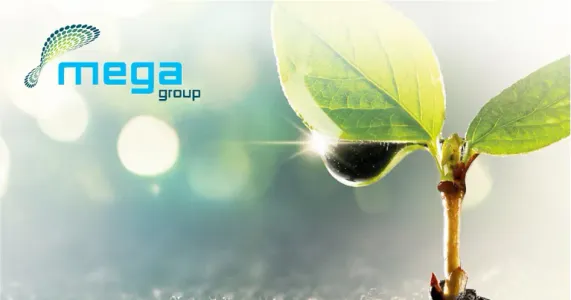 MegaGroup Water Tech